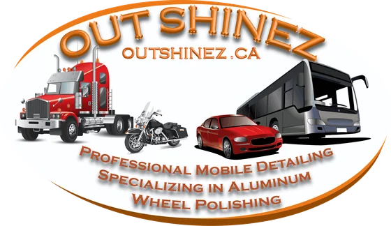 Out Shinez Ltd. logo