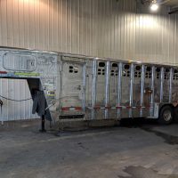 Polished Stock Trailer